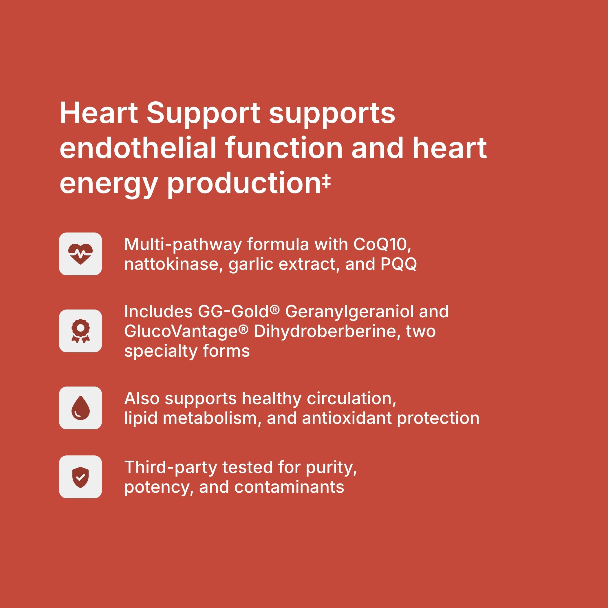 Heart Support benefits — supports healthy endothelial function, heart energy production, and circulation