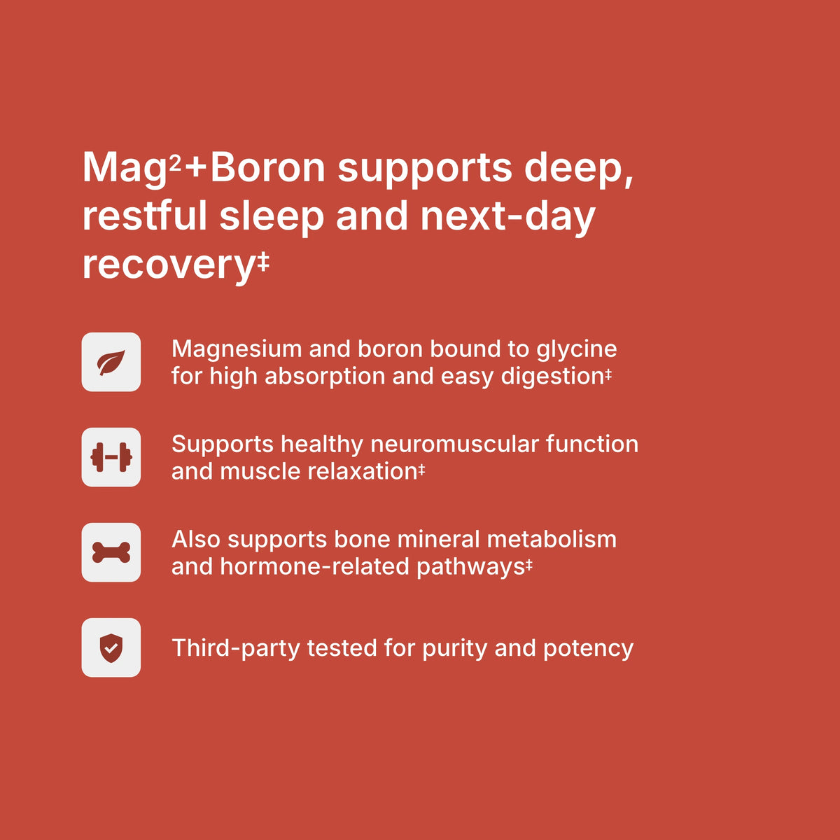 Mag² + Boron benefits — supports deep, restful sleep, healthy neuromuscular function, and next-day recovery