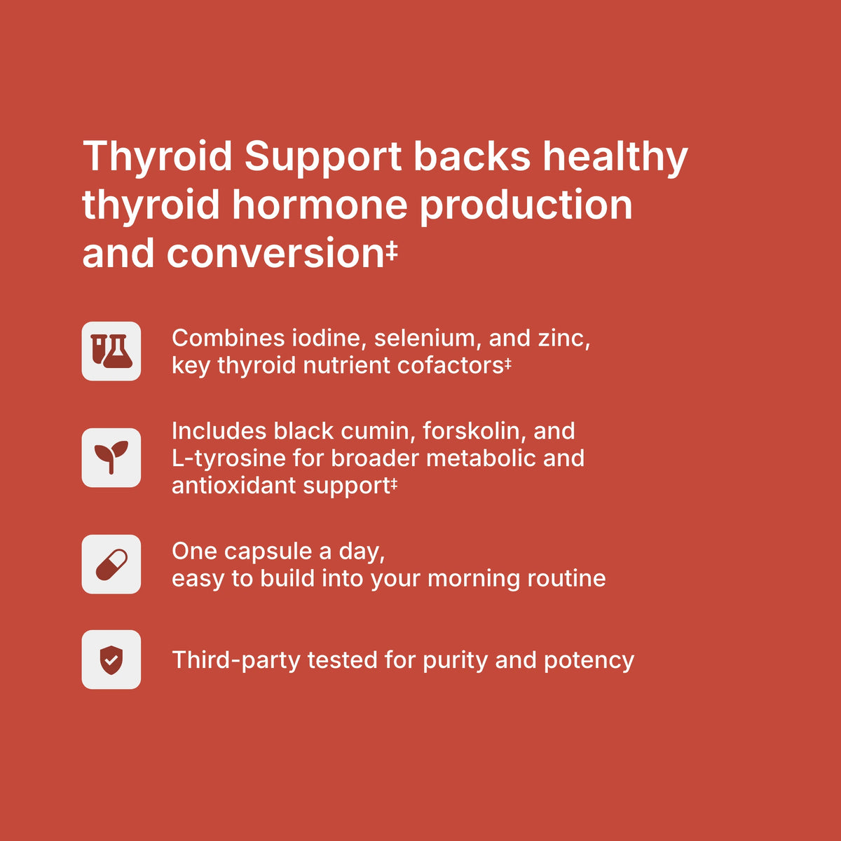 Thyroid Support benefits — supports healthy thyroid hormone production, conversion, and metabolic function