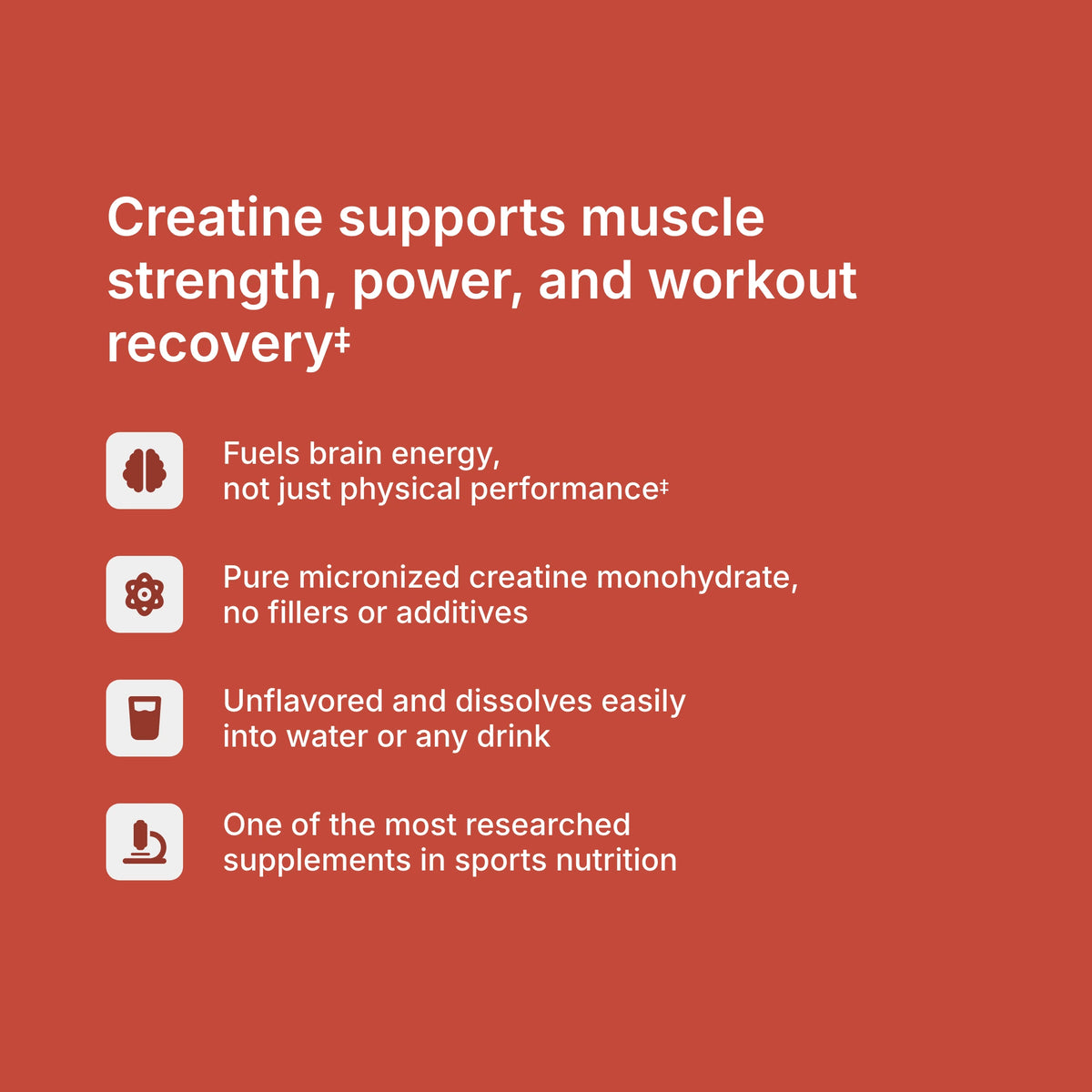 Creatine Monohydrate benefits — supports strength, power, muscle recovery, and brain energy