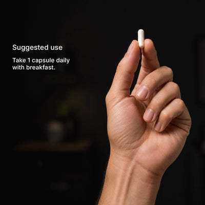 How to take P5P+ — 1 capsule daily with food, capsules shown in hand