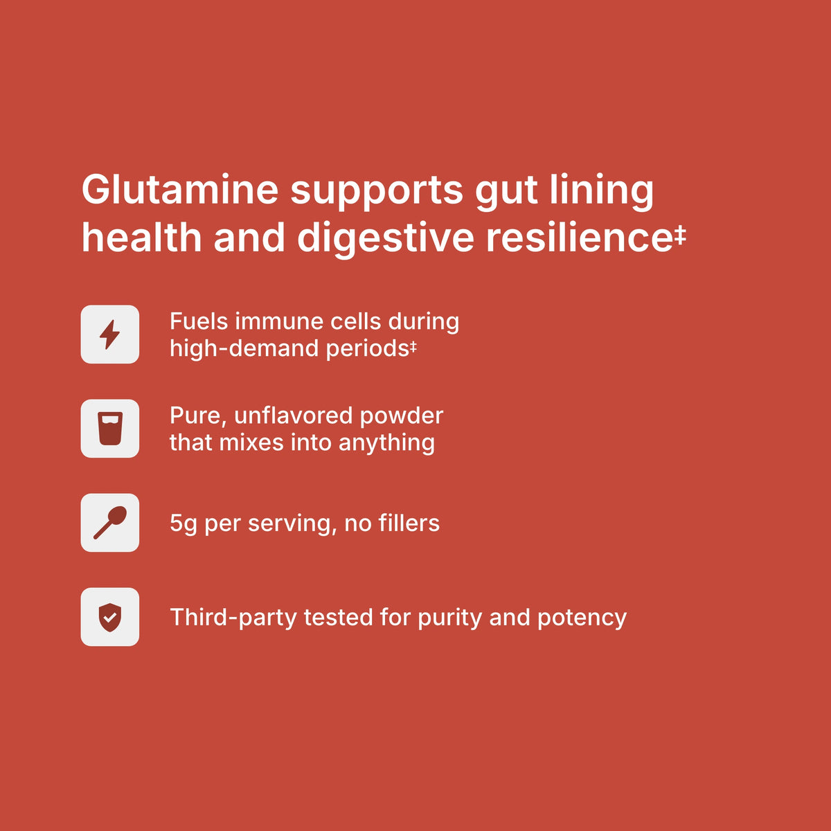 L-Glutamine Powder benefits — supports digestive health, gut lining, and immune function