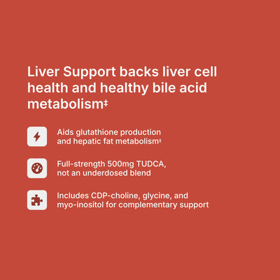 Liver Support benefits — supports healthy liver function, bile acid metabolism, and glutathione production