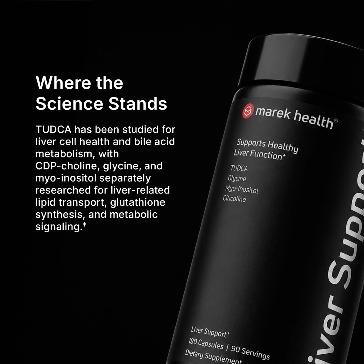 Liver Support