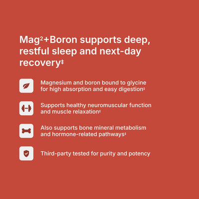 Mag² + Boron benefits — supports deep, restful sleep, healthy neuromuscular function, and next-day recovery