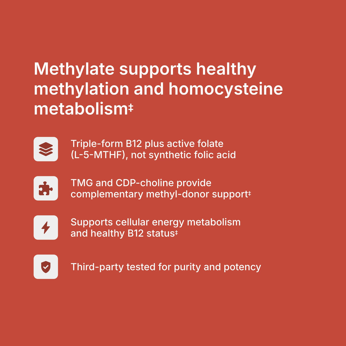 Methylate benefits — supports healthy homocysteine metabolism, methylation pathways, and B12 status