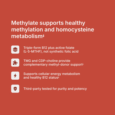 Methylate benefits — supports healthy homocysteine metabolism, methylation pathways, and B12 status