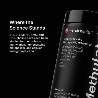 Methylate