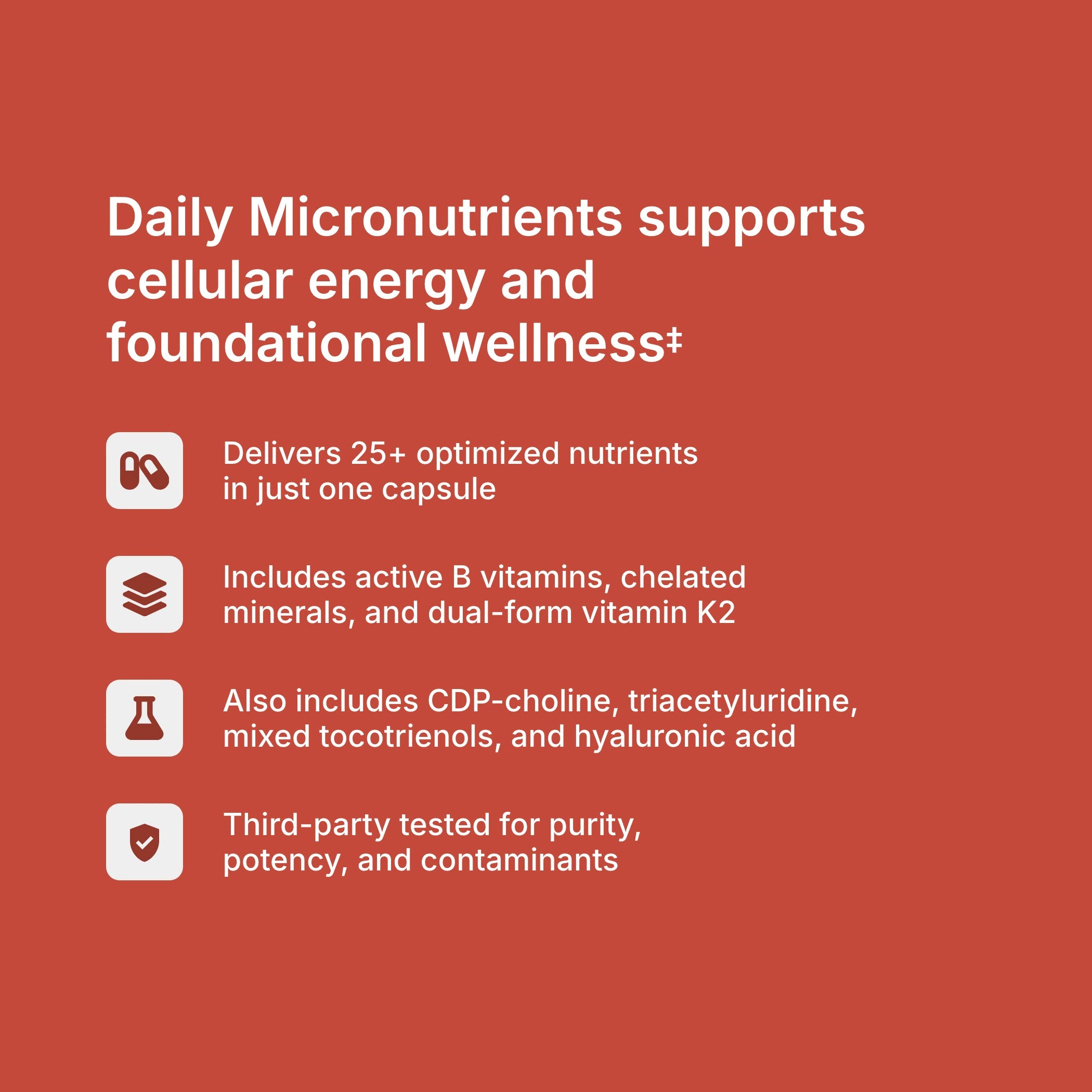 Multivitamin benefits — 25+ optimized nutrients supporting daily nutrient adequacy, energy metabolism, and methylation