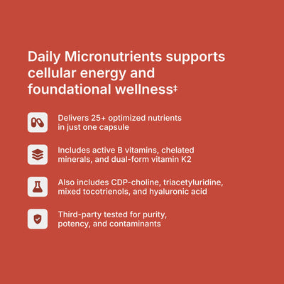 Multivitamin benefits — 25+ optimized nutrients supporting daily nutrient adequacy, energy metabolism, and methylation