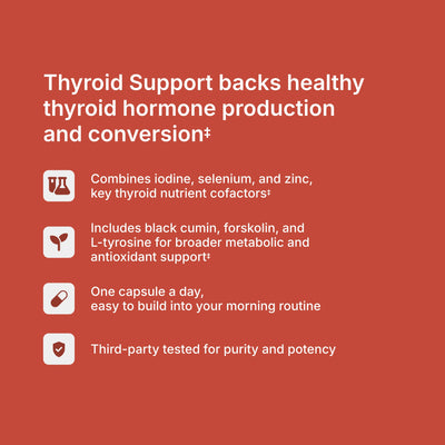 Thyroid Support benefits — supports healthy thyroid hormone production, conversion, and metabolic function